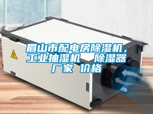 眉山市配電房除濕機，工業(yè)抽濕機  除濕器廠(chǎng)家 價(jià)格