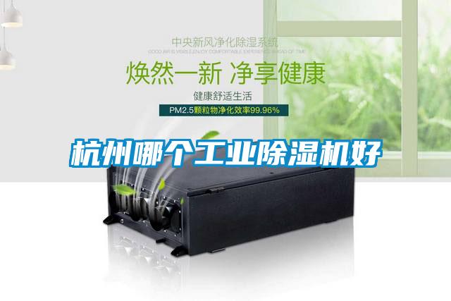 杭州哪個(gè)工業(yè)除濕機好