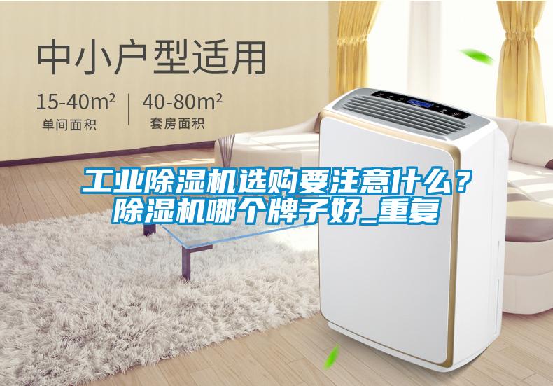 工業(yè)除濕機選購要注意什么？除濕機哪個(gè)牌子好_重復