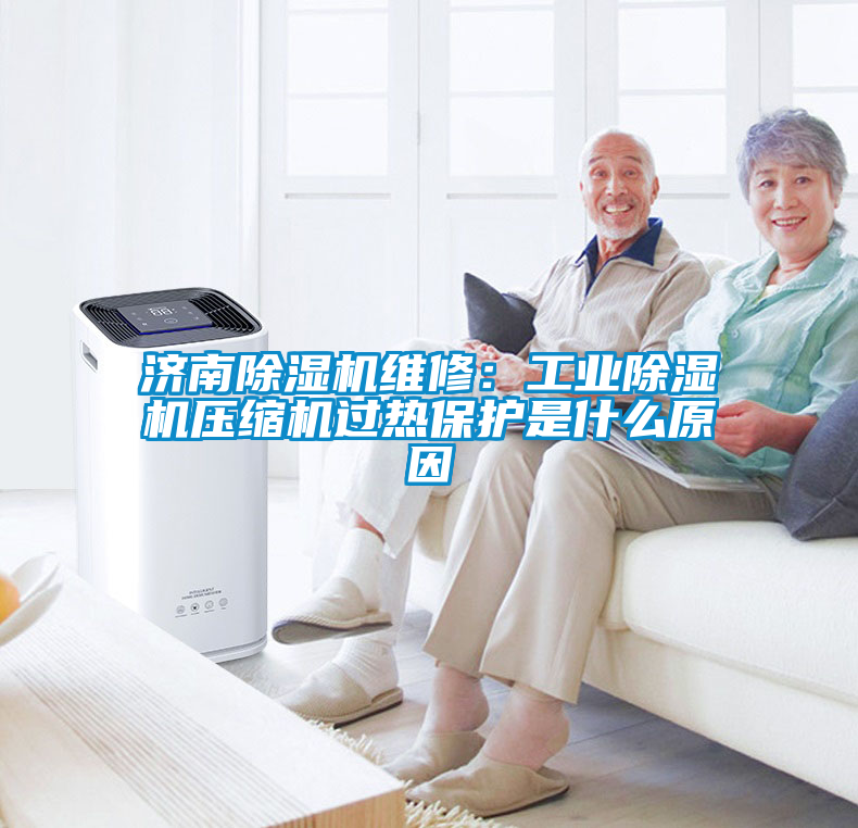 濟南除濕機維修：工業(yè)除濕機壓縮機過(guò)熱保護是什么原因