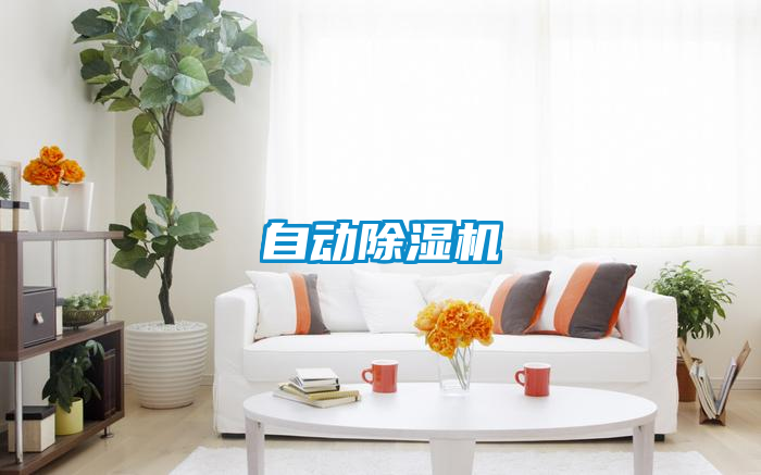 自動(dòng)除濕機