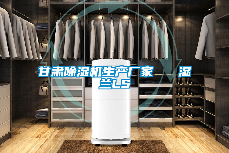 甘肅除濕機生產(chǎn)廠(chǎng)家   濕蘭LS