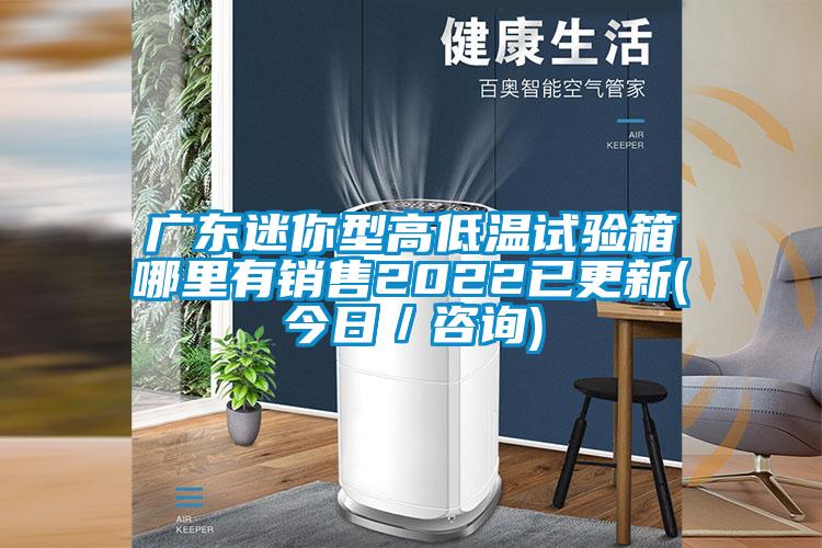 廣東迷你型高低溫試驗箱哪里有銷(xiāo)售2022已更新(今日／咨詢(xún))