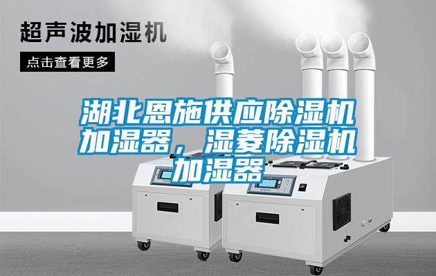 湖北恩施供應除濕機加濕器，濕菱除濕機加濕器