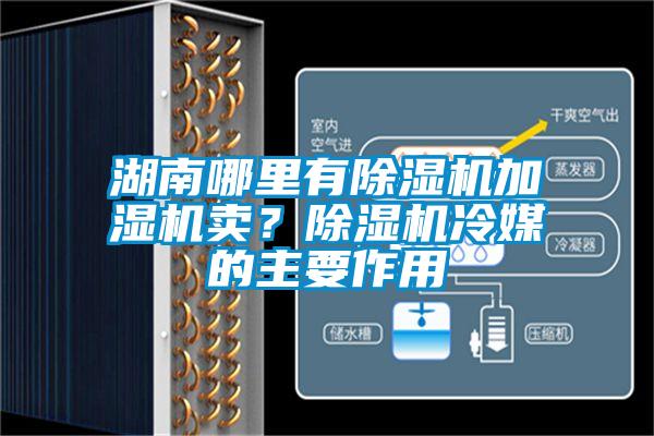 湖南哪里有除濕機加濕機賣(mài)？除濕機冷媒的主要作用