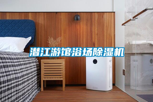 潛江游館浴場(chǎng)除濕機
