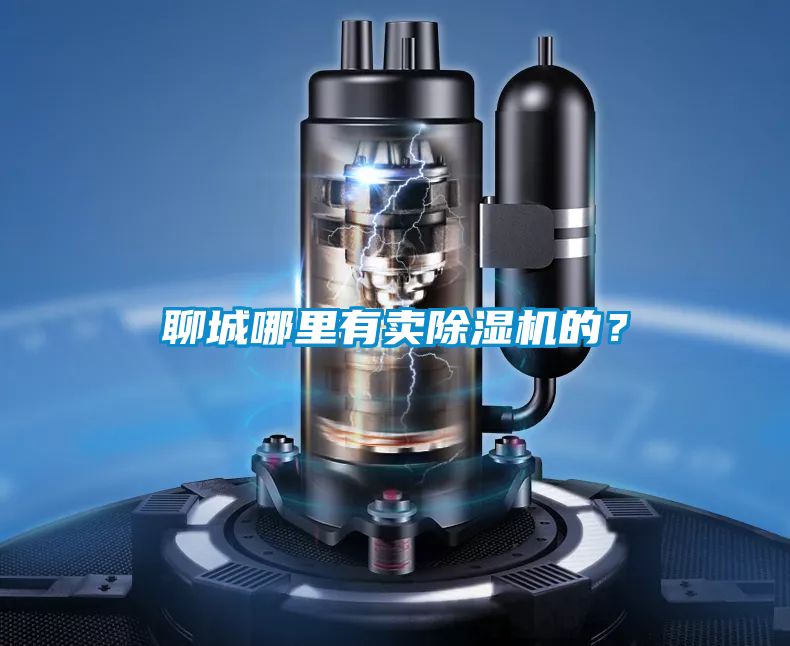 聊城哪里有賣(mài)除濕機的？