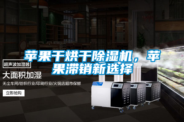蘋(píng)果干烘干除濕機，蘋(píng)果滯銷(xiāo)新選擇