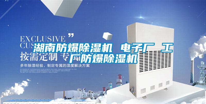 湖南防爆除濕機 電子廠(chǎng) 工廠(chǎng)防爆除濕機