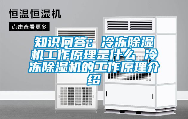 知識問(wèn)答：冷凍除濕機工作原理是什么 冷凍除濕機的工作原理介紹