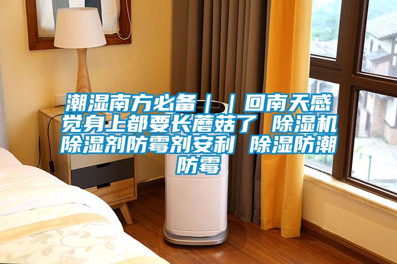 潮濕南方必備｜｜回南天感覺(jué)身上都要長(cháng)蘑菇了 除濕機除濕劑防霉劑安利 除濕防潮防霉