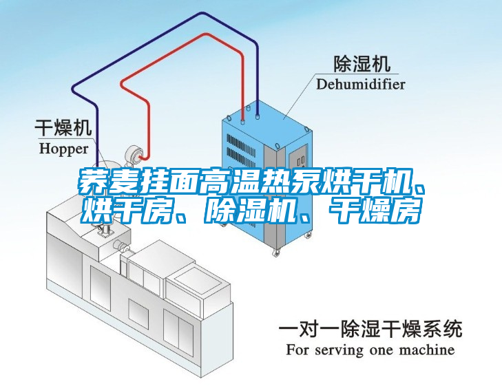 蕎麥掛面高溫熱泵烘干機、烘干房、除濕機、干燥房
