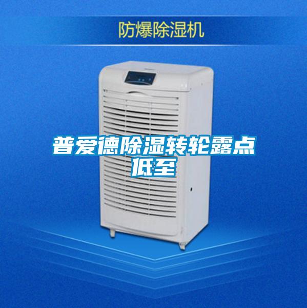 普愛(ài)德除濕轉輪露點(diǎn)低至