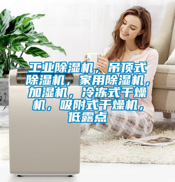 工業(yè)除濕機，吊頂式除濕機，家用除濕機，加濕機，冷凍式干燥機，吸附式干燥機，低露點(diǎn)