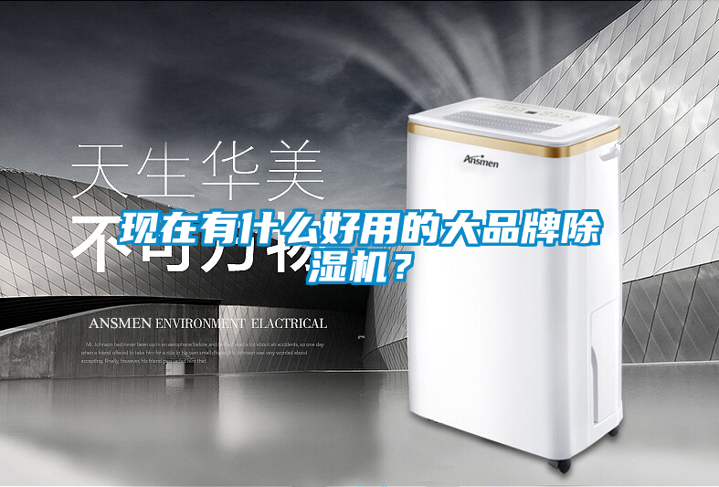 現在有什么好用的大品牌除濕機？