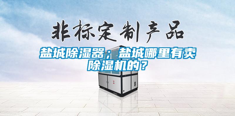鹽城除濕器；鹽城哪里有賣(mài)除濕機的？