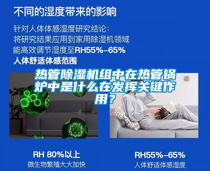 熱管除濕機組中在熱管鍋爐中是什么在發(fā)揮關(guān)鍵作用？