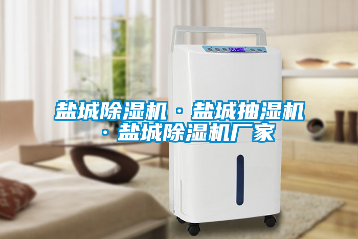 鹽城除濕機·鹽城抽濕機·鹽城除濕機廠(chǎng)家