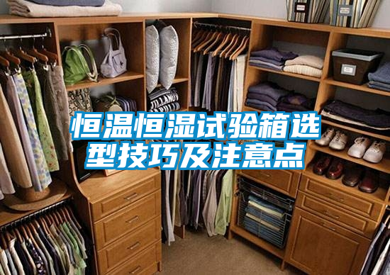 恒溫恒濕試驗箱選型技巧及注意點(diǎn)
