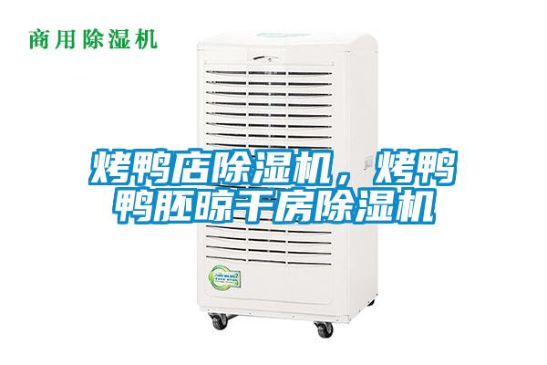 烤鴨店除濕機，烤鴨鴨胚晾干房除濕機