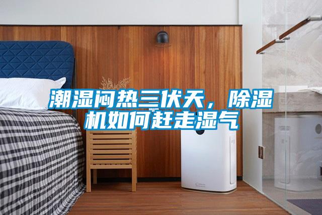 潮濕悶熱三伏天，除濕機如何趕走濕氣