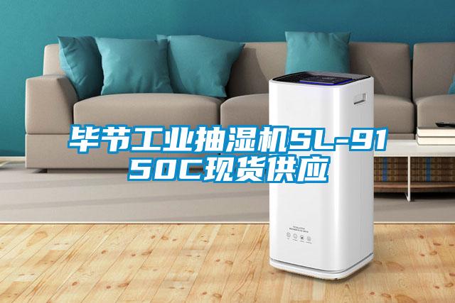 畢節工業(yè)抽濕機SL-9150C現貨供應