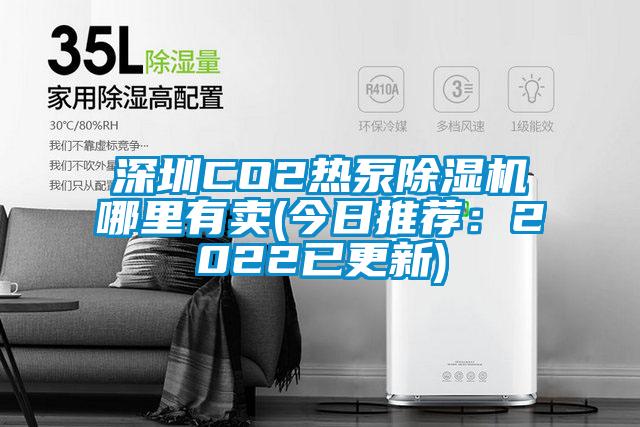 深圳CO2熱泵除濕機哪里有賣(mài)(今日推薦：2022已更新)