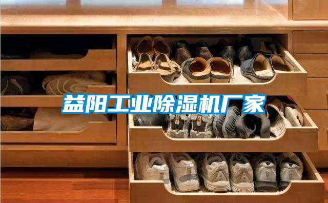 益陽(yáng)工業(yè)除濕機廠(chǎng)家