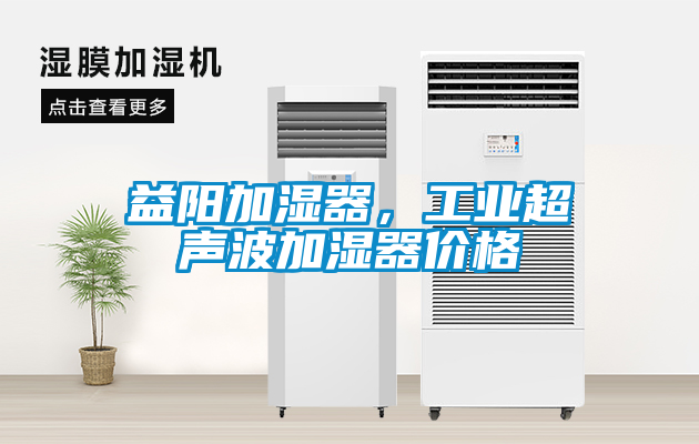 益陽(yáng)加濕器，工業(yè)超聲波加濕器價(jià)格