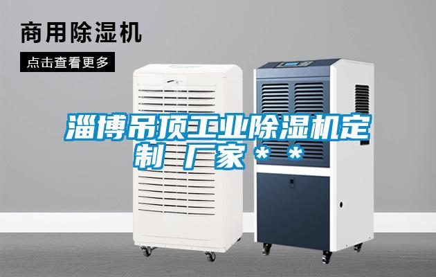 淄博吊頂工業(yè)除濕機定制 廠(chǎng)家＊＊
