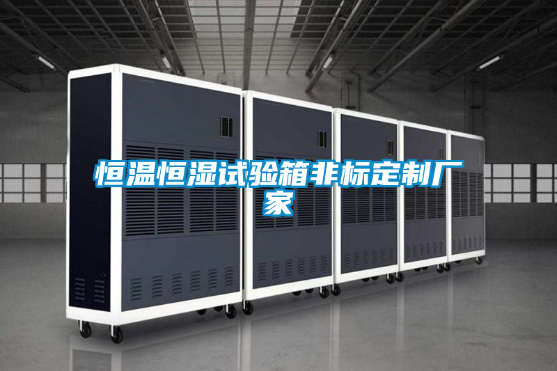 恒溫恒濕試驗箱非標定制廠(chǎng)家