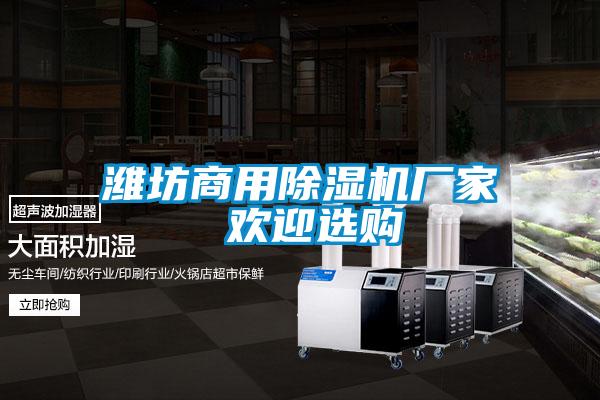 濰坊商用除濕機廠(chǎng)家 歡迎選購