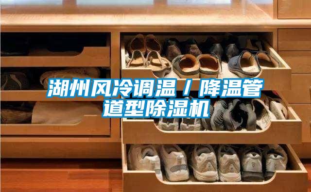 湖州風(fēng)冷調溫／降溫管道型除濕機