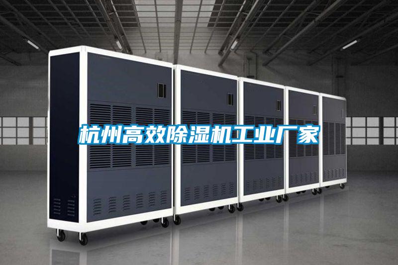 杭州高效除濕機工業(yè)廠(chǎng)家