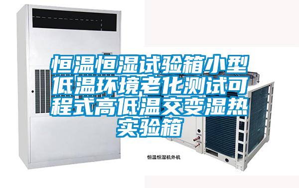 恒溫恒濕試驗箱小型低溫環(huán)境老化測試可程式高低溫交變濕熱實(shí)驗箱