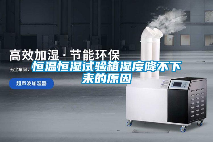 恒溫恒濕試驗箱濕度降不下來(lái)的原因
