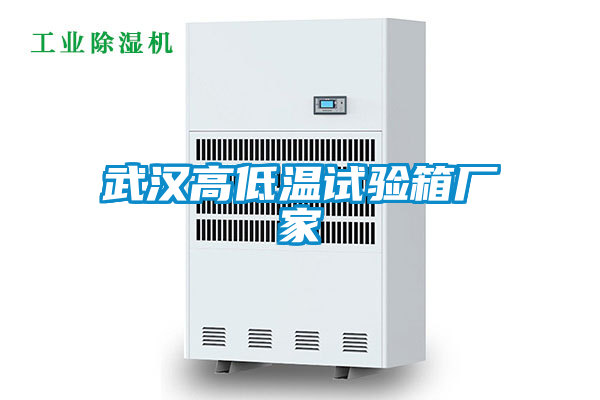 武漢高低溫試驗箱廠(chǎng)家