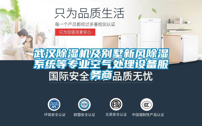 武漢除濕機及別墅新風(fēng)除濕系統等專(zhuān)業(yè)空氣處理設備服務(wù)商