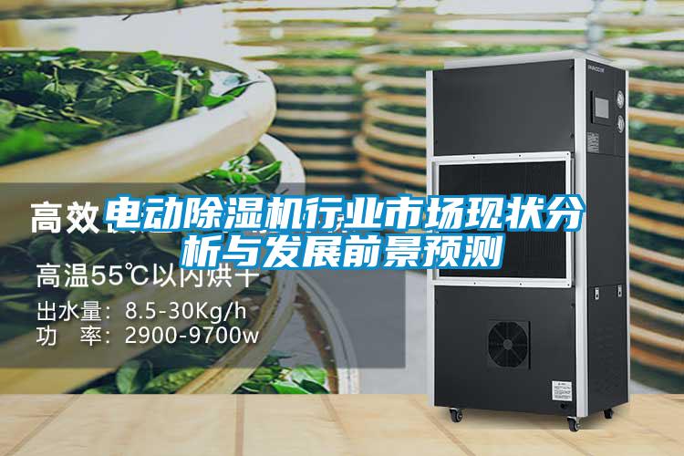電動(dòng)除濕機行業(yè)市場(chǎng)現狀分析與發(fā)展前景預測