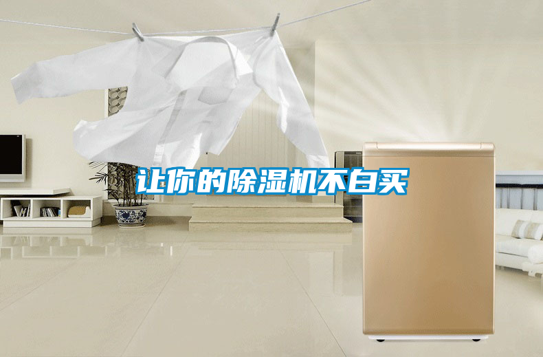 讓你的除濕機不白買(mǎi)