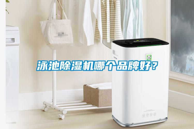 泳池除濕機哪個(gè)品牌好？