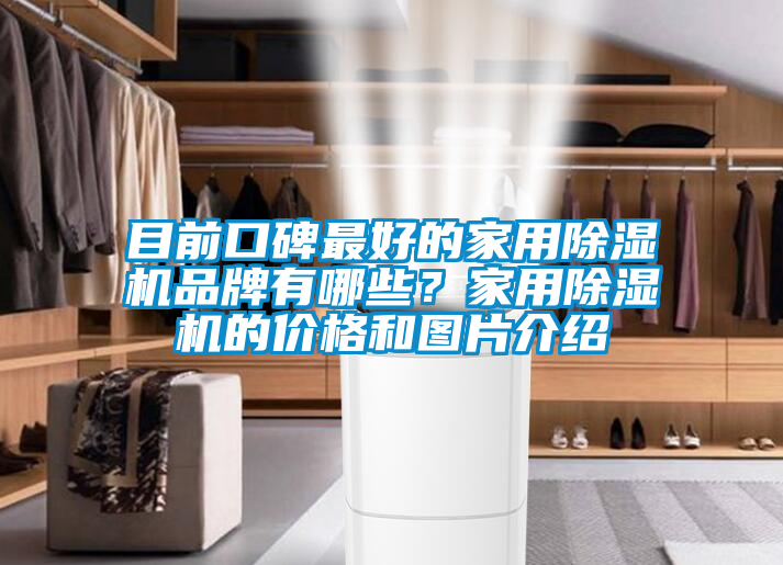 目前口碑最好的家用除濕機品牌有哪些？家用除濕機的價(jià)格和圖片介紹