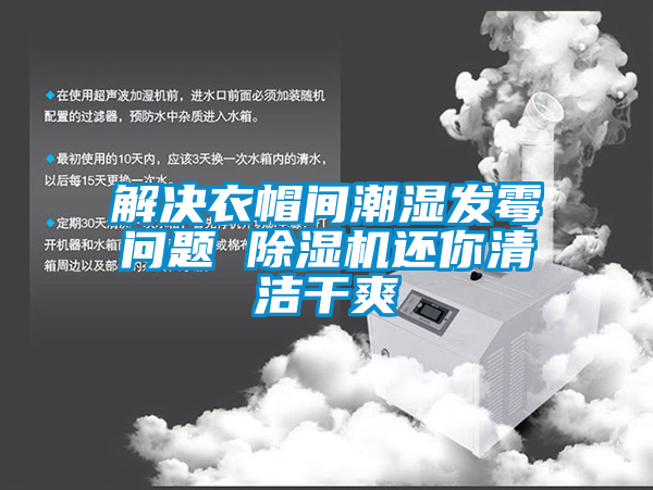 解決衣帽間潮濕發(fā)霉問(wèn)題 除濕機還你清潔干爽