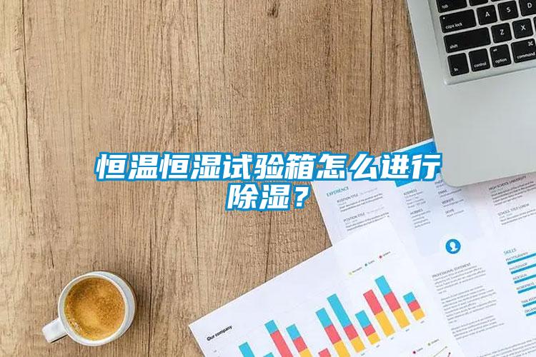 恒溫恒濕試驗箱怎么進(jìn)行除濕？