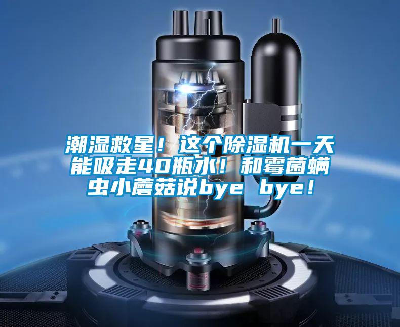 潮濕救星！這個(gè)除濕機一天能吸走40瓶水！和霉菌螨蟲(chóng)小蘑菇說(shuō)bye bye！
