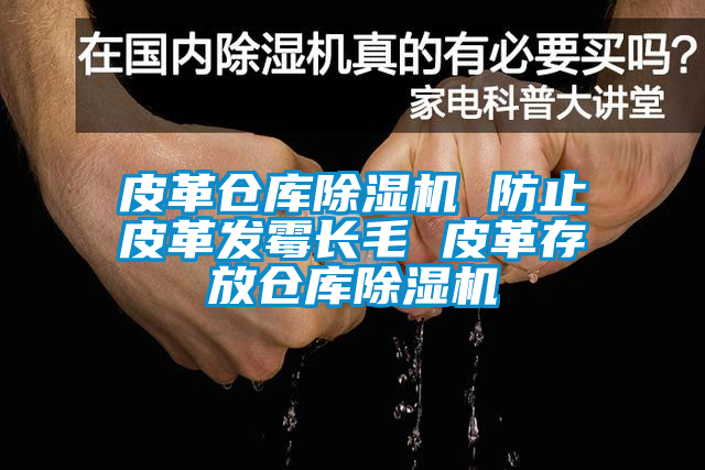 皮革倉庫除濕機 防止皮革發(fā)霉長(cháng)毛 皮革存放倉庫除濕機