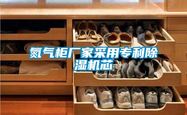 氮氣柜廠(chǎng)家采用專(zhuān)利除濕機芯