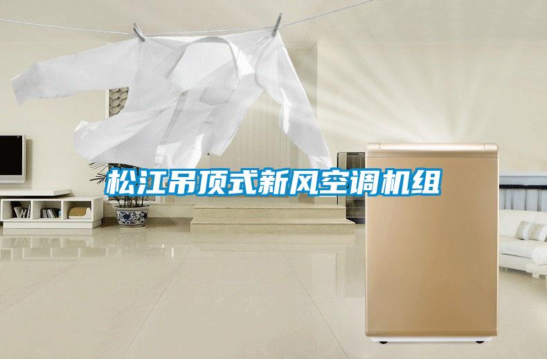 松江吊頂式新風(fēng)空調機組