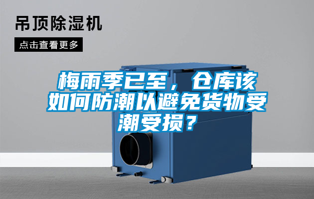 梅雨季已至，倉庫該如何防潮以避免貨物受潮受損？