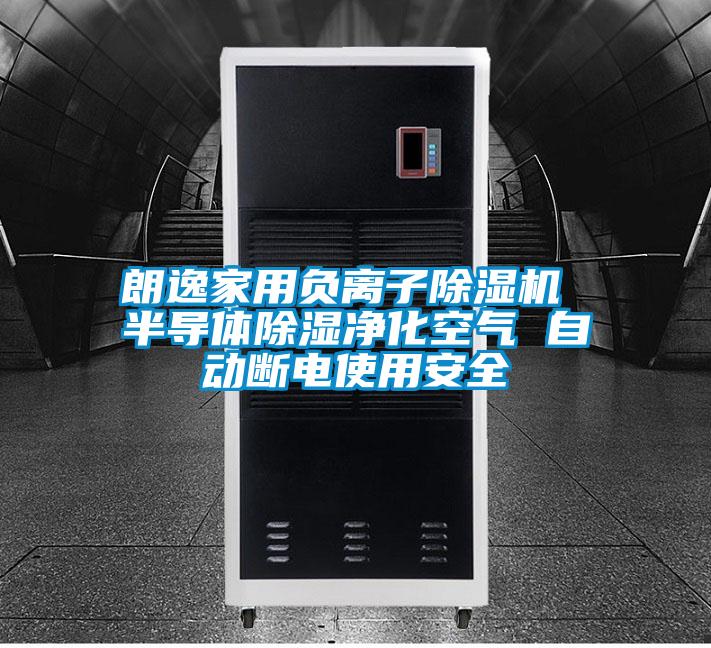 朗逸家用負離子除濕機 半導體除濕凈化空氣 自動(dòng)斷電使用安全
